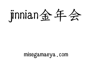 深圳市jinnian金年会网络科技有限公司logo